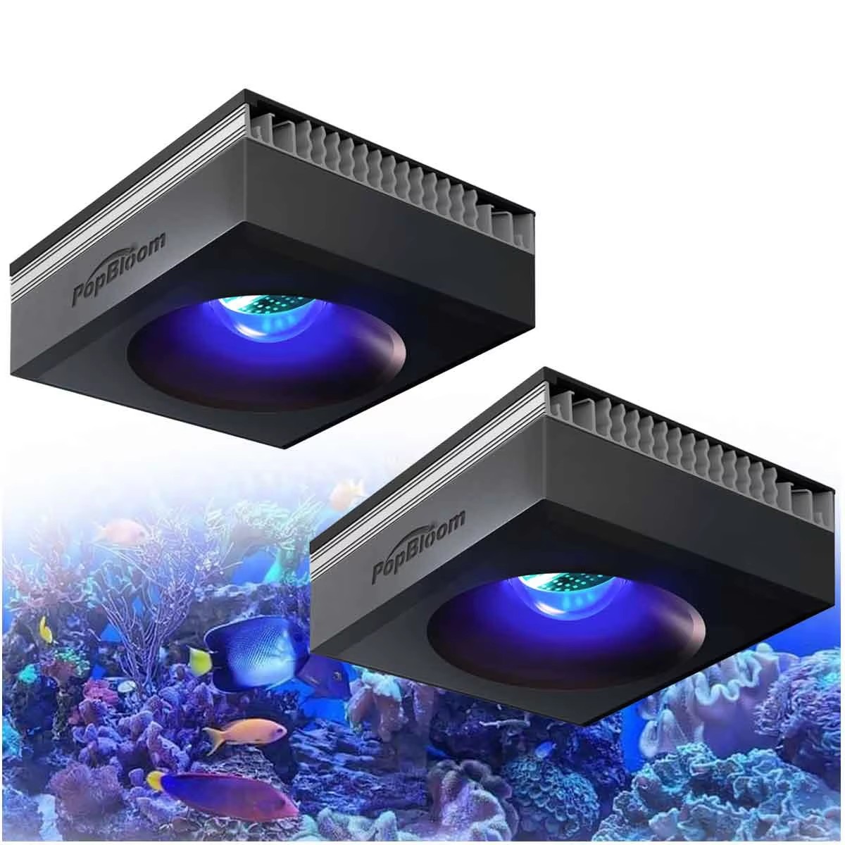 Marine Aquarium Led Lights - Lámpara para Acuario de Arrecife PopBloom