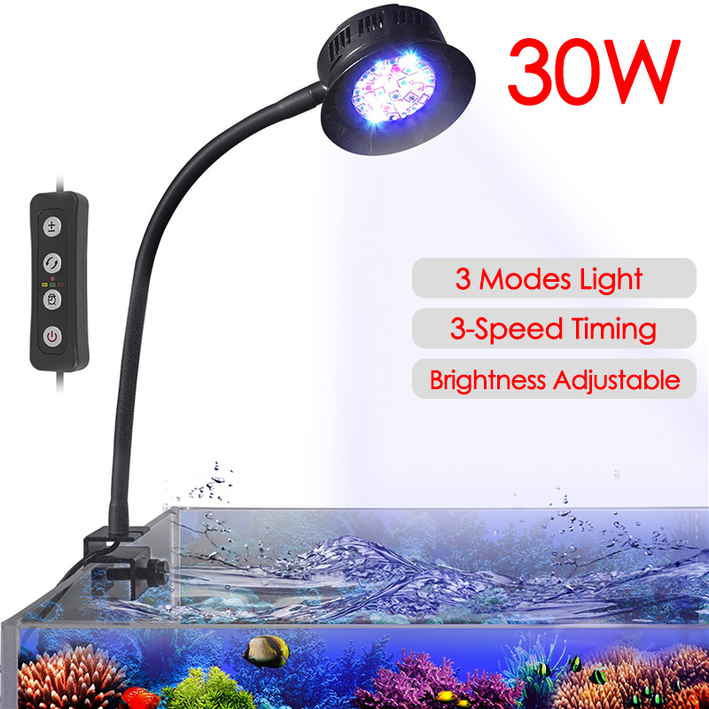 Aquarium Marine Fishes - 30W acuario pecera agua de mar