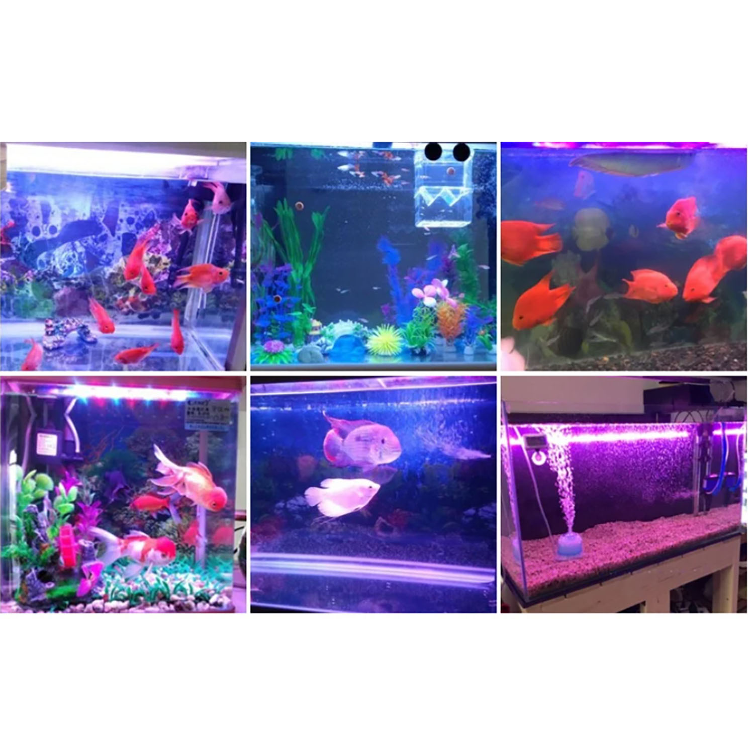 Marine Aquarium Led Lights - Iluminación LED para Acuarios Marinos de