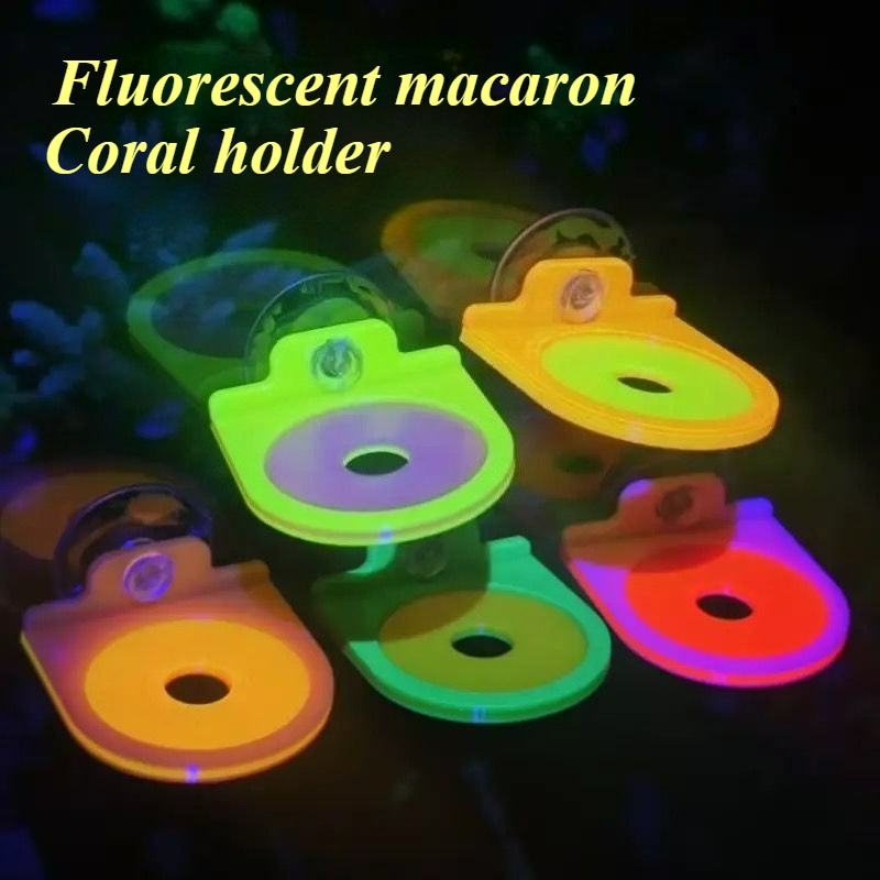 Aquarium Marine Color - Soporte para Frag de Coral de