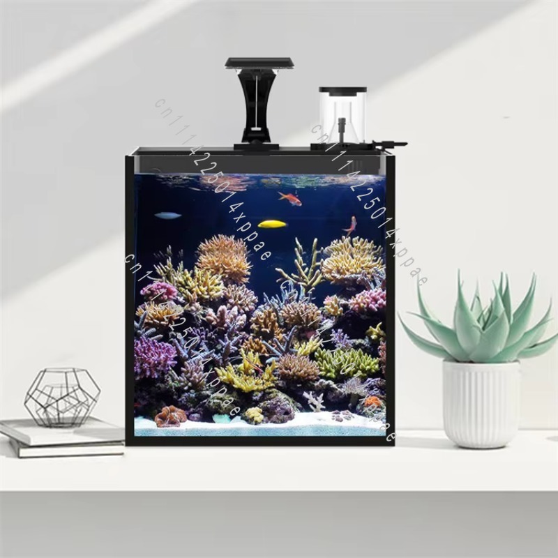 Mini Acuario Marino de Agua Sa - Aquarium Marine Salt reseña y precio