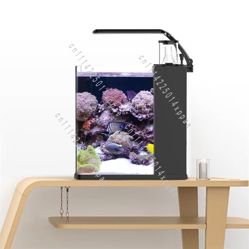 Mini Acuario Marino de Agua Sa - Aquarium Marine Salt reseña y precio