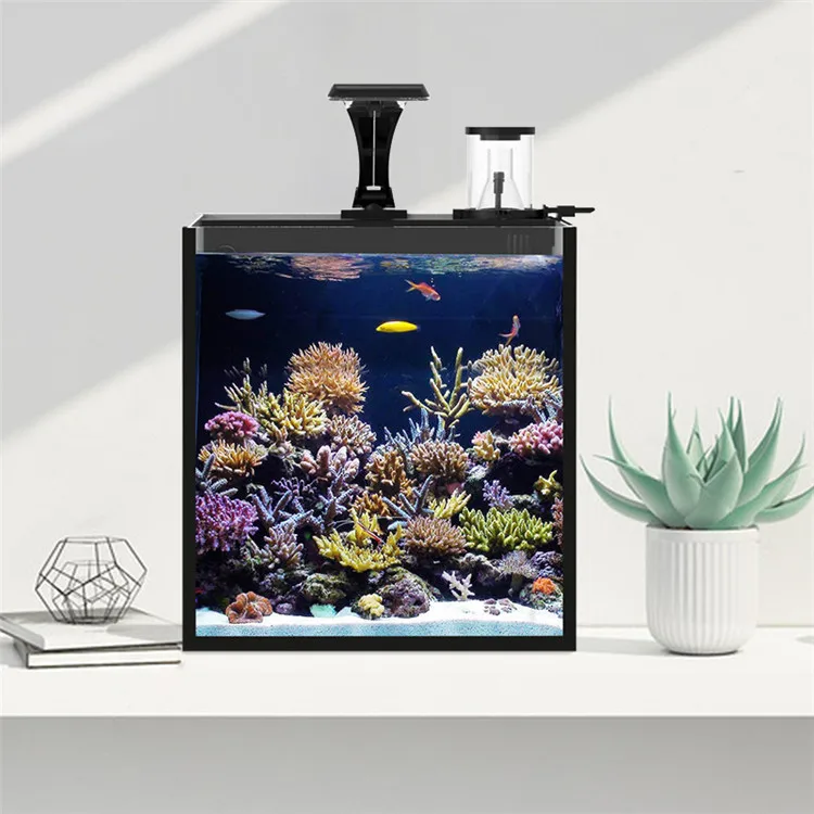 El último modelo de vidrio tra - Aquarium Marine Salt reseña y precio