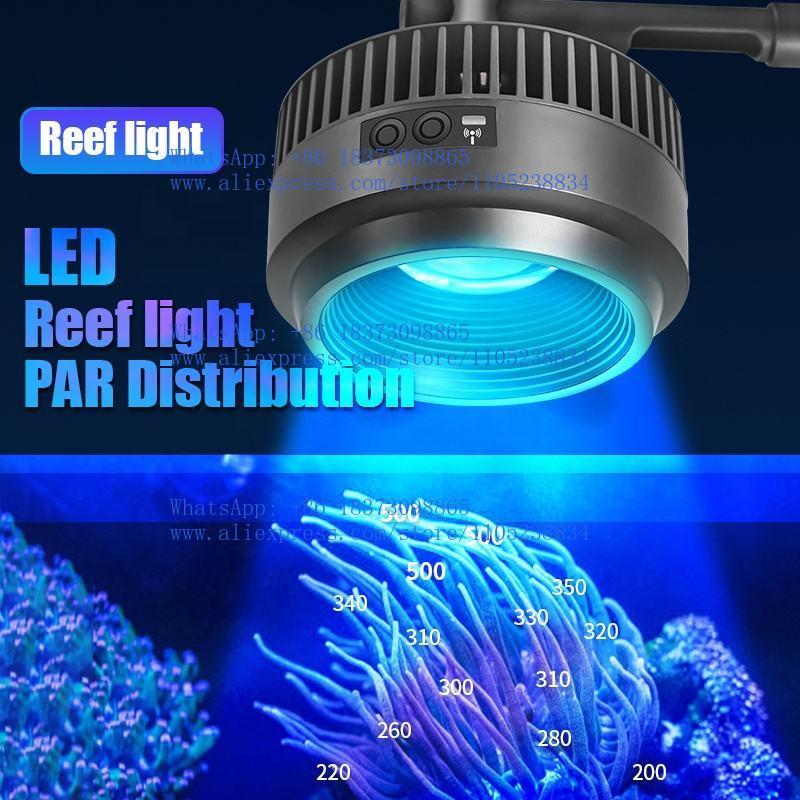 Luces para acuarios marinos de - Aquarium Marine Salt reseña y precio