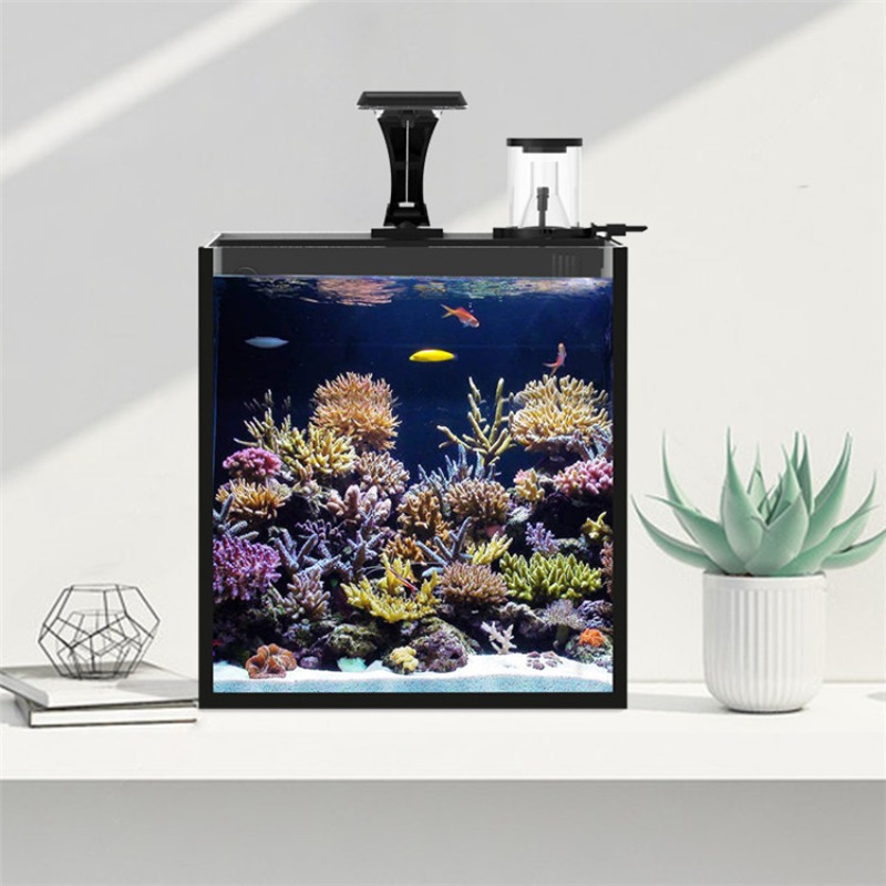 Mini acuario marino de agua sa - Aquarium Marine Salt reseña y precio