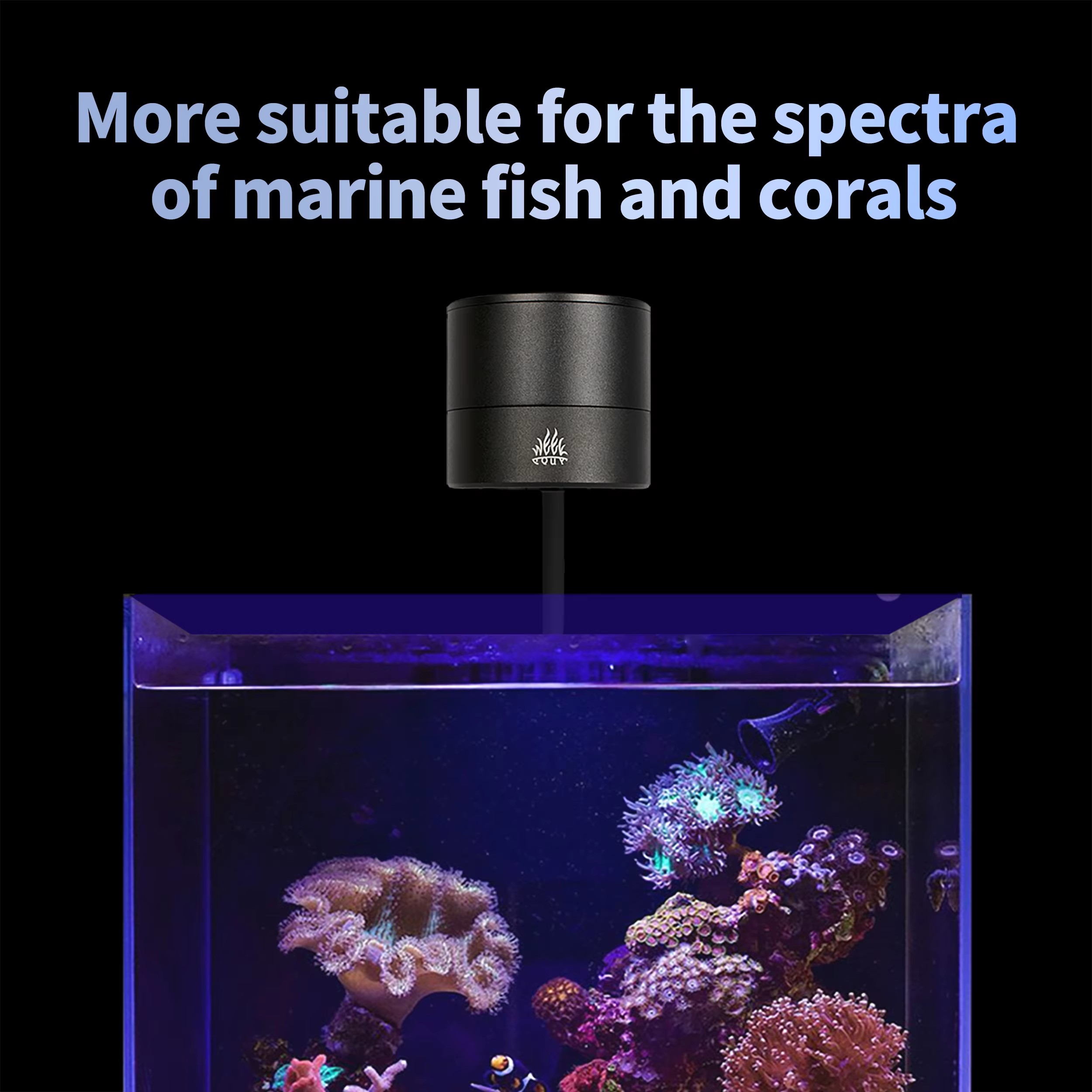 WEEK AQUA Fabricantes de Lámpa - Aquarium Marine Salt reseña y precio