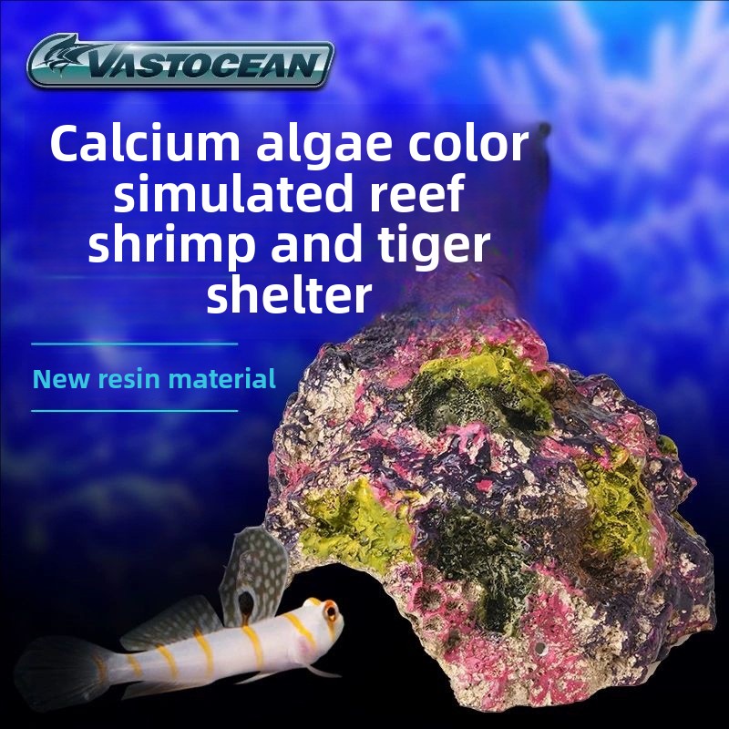 VASTOCEAN Acuario de agua sala - Marine Aquarium Hermit Crab reseña y precio