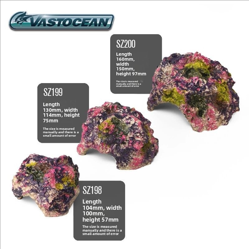 VASTOCEAN Acuario de agua sala - Marine Aquarium Hermit Crab reseña y precio