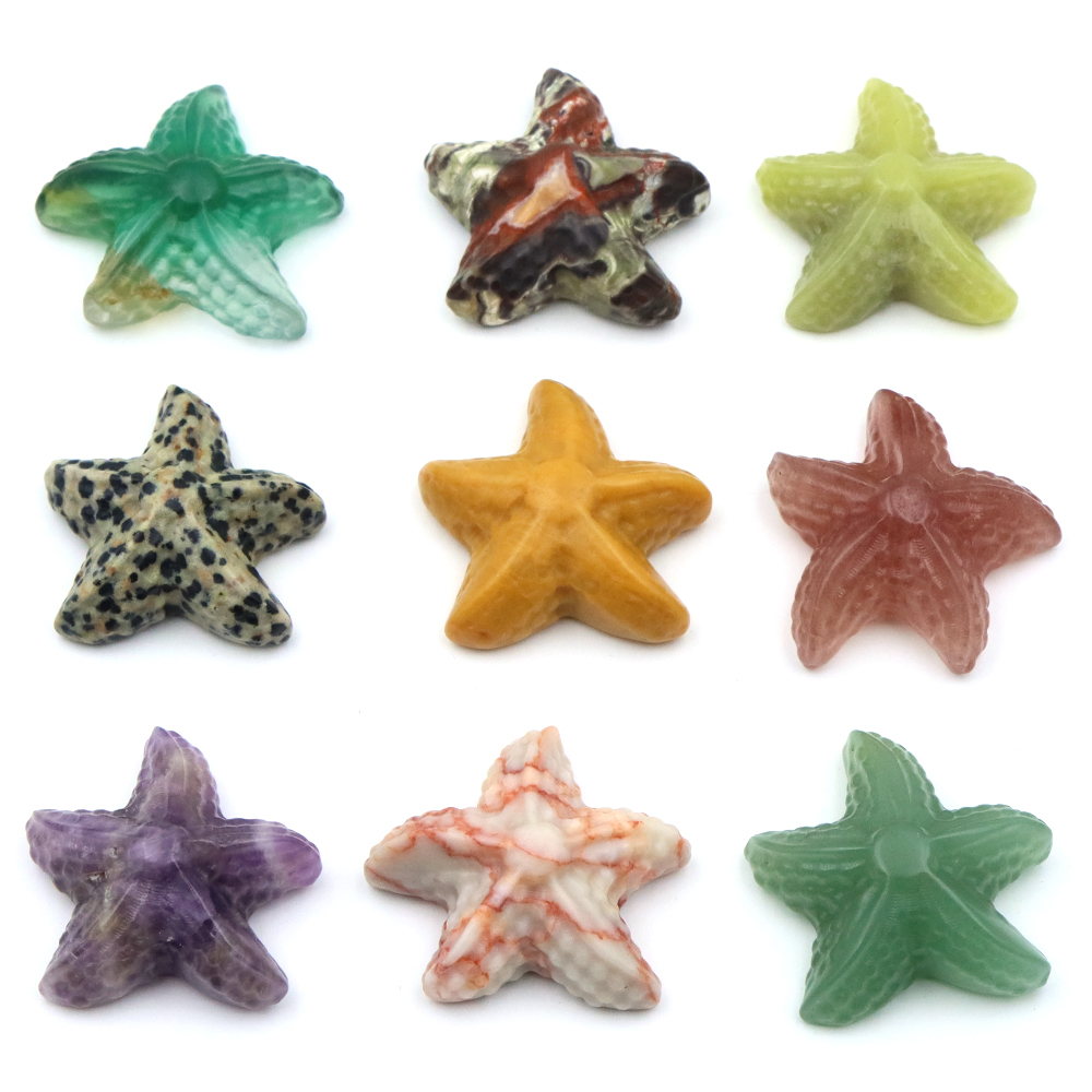 Estatua con forma de estrella  - Aquarium Marine Fishes reseña y precio