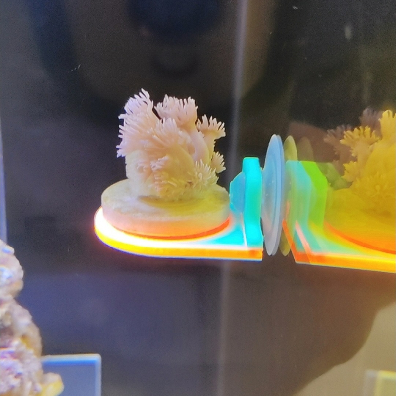 Soporte para Frag de Coral de  - Aquarium Marine Color reseña y precio