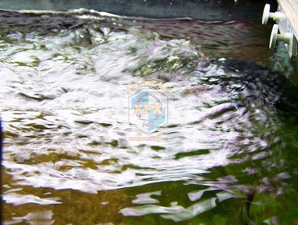 Sunsun Jvp-200 la más nueva bo - Aquarium Marine Salt reseña y precio