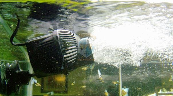 Sunsun Jvp-200 la más nueva bo - Aquarium Marine Salt reseña y precio