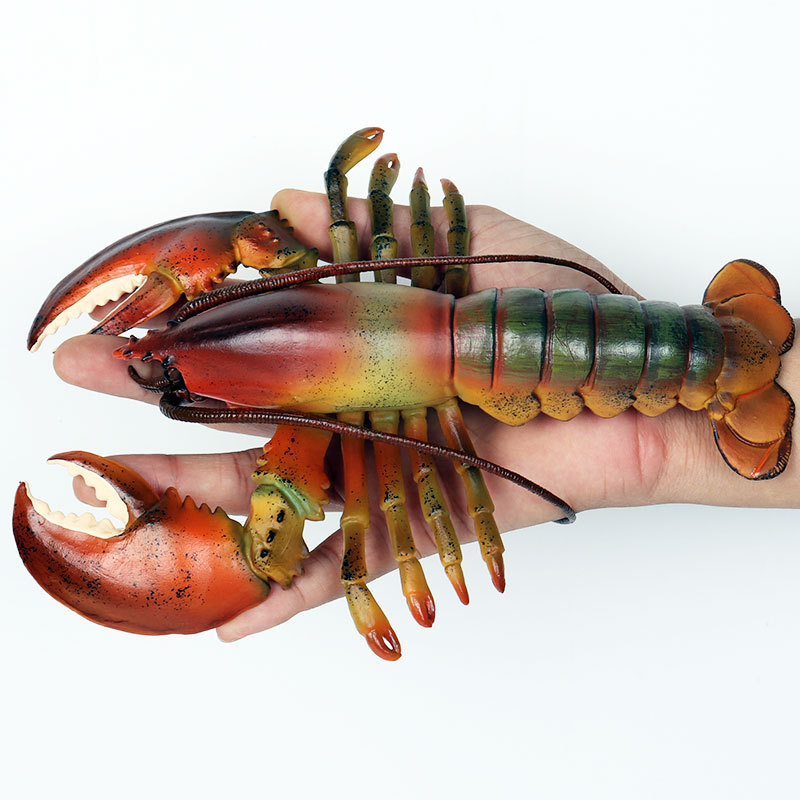 Figura Realista de Vida Marina - Marine Aquarium Hermit Crab reseña y precio