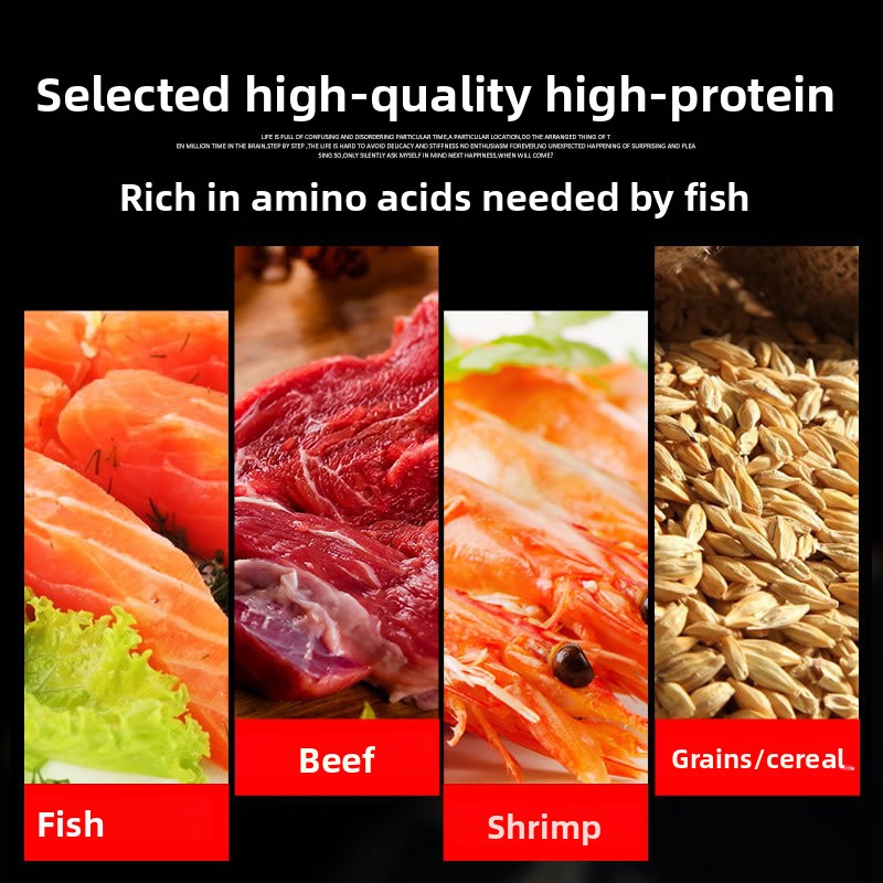 Alimento para Peces Ornamental - Marine Aquarium Par Meter reseña y precio