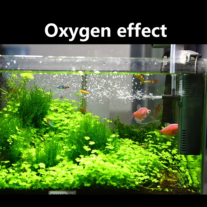 SUNSUN-bomba sumergible de oxí - Marine Aquarium Par Meter reseña y precio